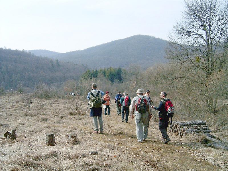 2010.03.20 049.jpg